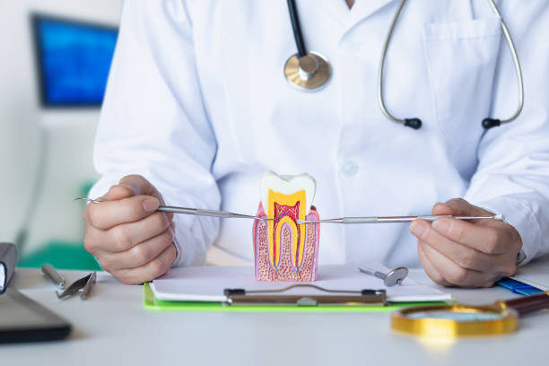 Best Emergency Cosmetic Dentistry in Lockport Heights, IL